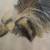 Original, unsigned drawing by Anne Emerson, “Lady” 4 thumbnail