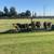12 Angus Cross Heifers & Bulls – 250-350 lbs – Pasture Raised! 5 thumbnail
