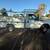 2015 Ford F350 6 thumbnail