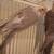 Cockatiels 2 thumbnail