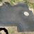 FORMULA Thunderbird Carpets and Owners Manual for F-29 PC 2 thumbnail