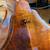 Samuel Shen SB200 Double Bass w/ Bag & Bow *Gravity Music Gear* 2 thumbnail