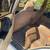 1994 Jeep Grand Cherokee 5.2 Liter V8 13 thumbnail