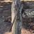 Rustic Old Post and Rail Gate 6 thumbnail