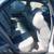 2005 Cadillac CTS sedan 4D  Low 123,244 miles  1-Owner!!! Extra clean! 6 thumbnail