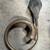 Antique brass car horn 4 thumbnail