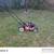 Lawnmower for sale 4 thumbnail
