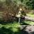 Tree Services-Affordable, Professional, and Insured 3 thumbnail