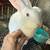 Rabbits 1 thumbnail