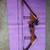 Compound Bow 1 thumbnail