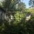 LANDSCAPING~MULCH~ROCKS~SOD~TREE TRIMMING~OVERGROWN LOTS 3 thumbnail