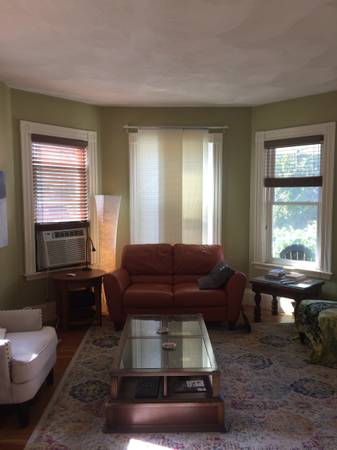 $1,225 / 2br - 1000ft2 - Room for Rent in 2B1B Davis Square Condo (Somerville)63931250730115121