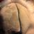 Wolf/Moose Musher Hat 2 thumbnail