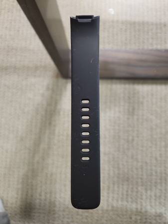 Fitbit Carge 6 band large 1