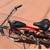 Schwinn Beach Cruiser W/50 cc Motorized Bycicle 5 thumbnail