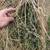 Large Square Bales 2 thumbnail