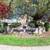 Unbeatable 2 BR/2 BA Featuring Sauna, Fitness Center & Clubhouse 4 thumbnail