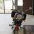 2023 ROYAL ENFIELD CLASSIC 350 | Superbike Showroom 10 thumbnail