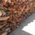 Firewood,  Oak Citrus Eucalyptus Avocado 2 thumbnail