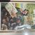 BLJ framed print 1 thumbnail