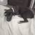 Doberman Corso 5 mo 3 thumbnail