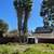 Tree and Palm Service 10 thumbnail