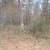 $1000 Down-Owner Financing-25% Undivided Interest in 56 acres 1 thumbnail