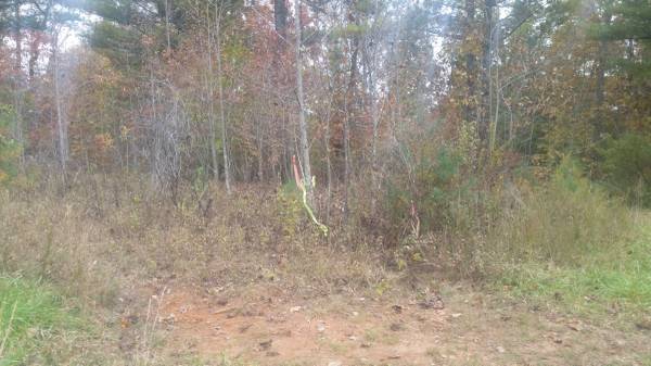 $65,000 $2000 Down-Owner Financing-25% Undivided Interest in 56 acres (Murphy)64029212131330120