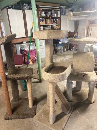 3 large USED CAT TREES 1