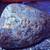 Rocks+Fossils(lots) 23 thumbnail