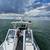 SeaArk Commercial. 25V Commander. 28ft twin 250 low hour merc outboards 5 thumbnail