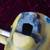 Vintage Playground /Amusement park aluminum spring ride  Leopard A155 15 thumbnail