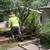 Tree service, removal,  planting, & landscaping (512)676-1826 8 thumbnail