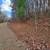 1+ Acres, Gated, Views, Gentle Slope, Lasso Ln 13 thumbnail