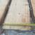 Sitka spruce slab with live edge 2 thumbnail