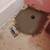 Reliable plumber & electrician - plumbing, electrical installs, repair 9 thumbnail