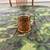 Vintage Solid Copper Pots/Skillet/Kettles/Tubs/Ladles/Cups  ETC 7 thumbnail