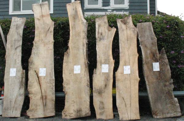 Wood Slabs