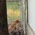 Lab puppy rehoming 1 thumbnail