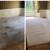 🐝 WHY CHOOSE BEE CLEAN? | 🍯DEEP CARPET CLEANING | PET STAINS |🐝🍯🔥 13 thumbnail