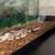Ball python 1 thumbnail