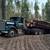 Logging, Fire Mitigation, Defensible Space. 14 thumbnail