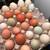 Hybrid hatching eggs 8 thumbnail