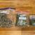 Catnip- dried, ground, and live plants available 2 thumbnail