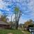 TREE SERVICES & LAWN CARE 17 thumbnail