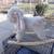 Rocking Horse - Toy Plush Bunny 1 thumbnail