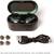 Skullcandy Push True Wireless In-Ear Earbuds - Dark Gray - BRAND NEW 4 thumbnail