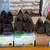 Women's Shoes-Many!!! Size 12 both New in the Box and Used 1 thumbnail
