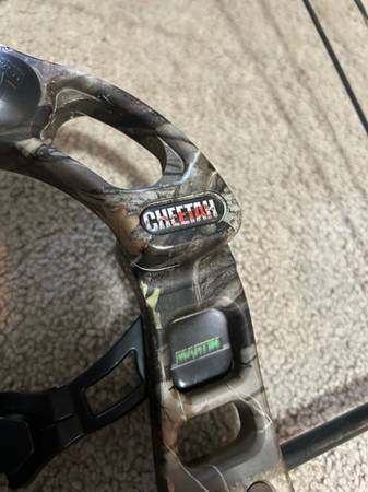 Compound bow 1