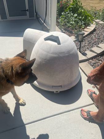 Large Petmate Indigo Igloo (Brighton)63679621916545120